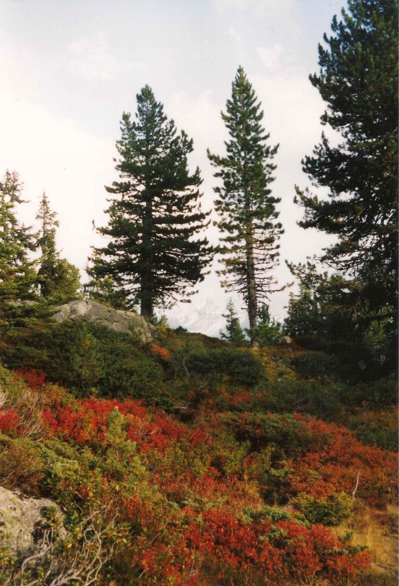 Apart Panoramablick Kaunerberg Екстериор снимка