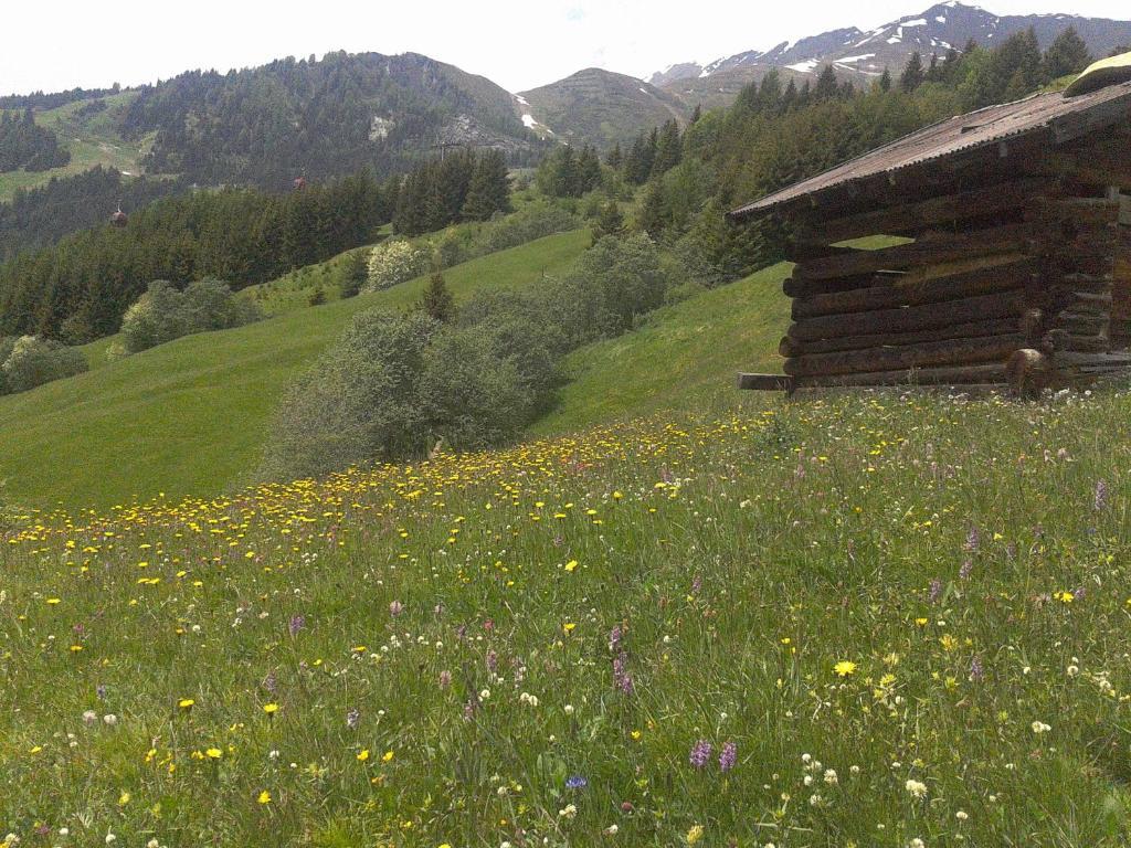 Apart Panoramablick Kaunerberg Екстериор снимка